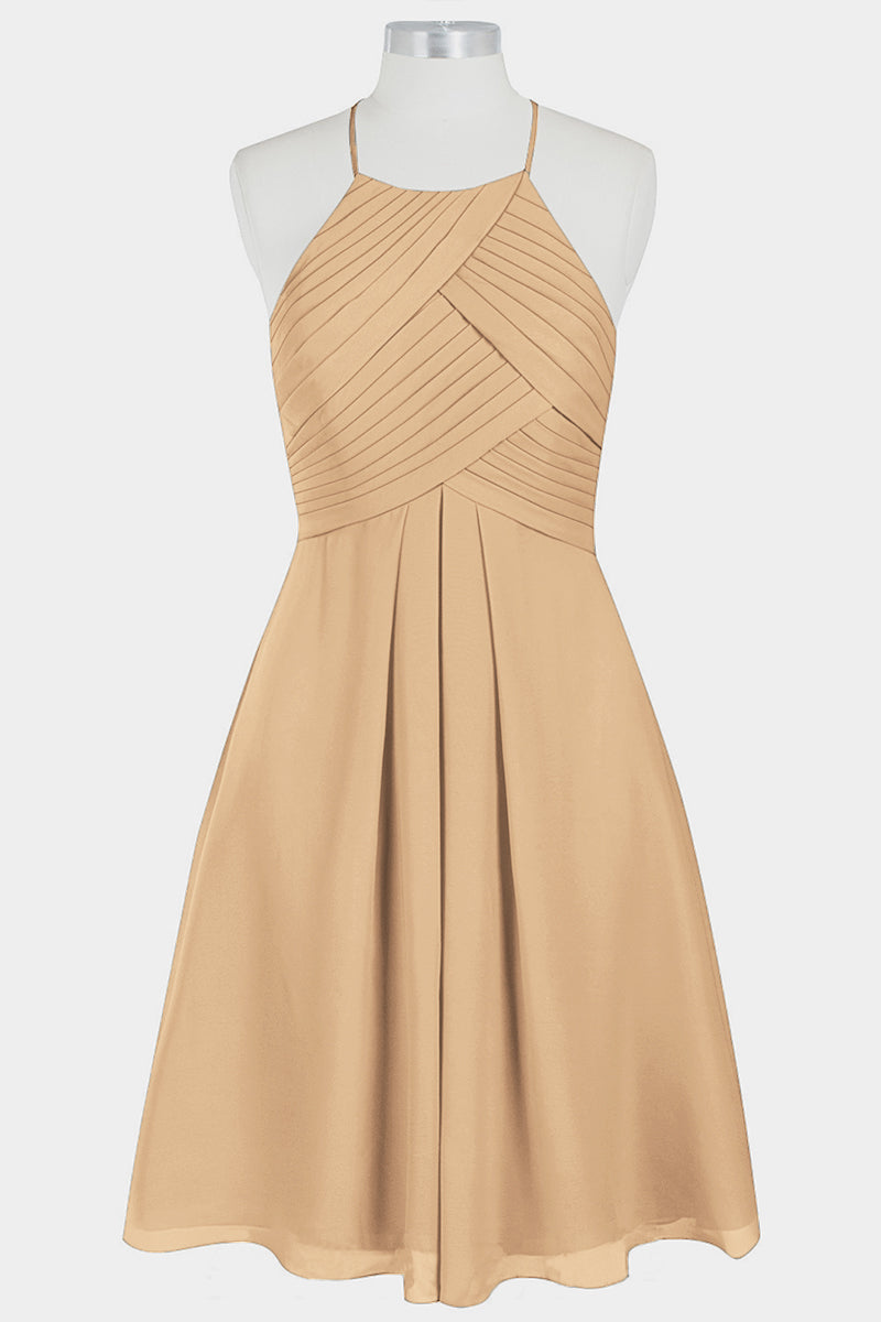 Chiffon Column Halter Sleeveless Bridesmaid Dress-B14003